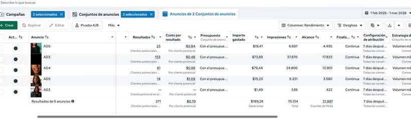 Leads generados en campañas reales de Meta Ads